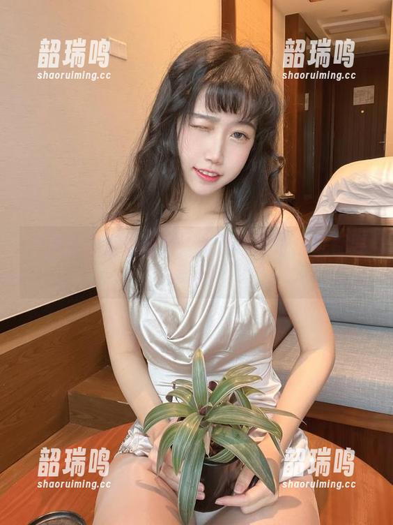 不呆猫的海边派对：高清画面让壁纸都要跟风！