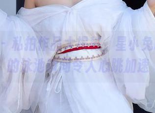 秀人网 – 私拍作品大揭秘，星小兔Meetu的泳池瞬间令人心跳加速