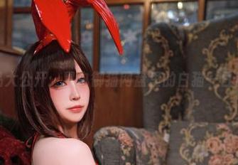 作品大公开：黑白御猫网盘里的白猫一日日常